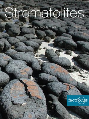 cover image of Stromatolites